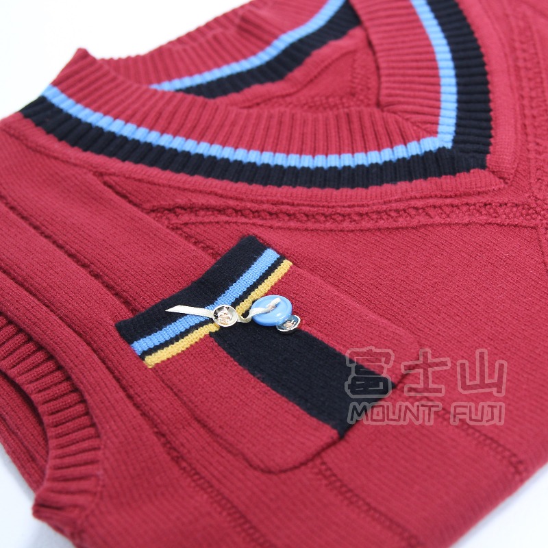 Maglione Rafaye, Costume Cospl - Party Games School recensione e prezzo
